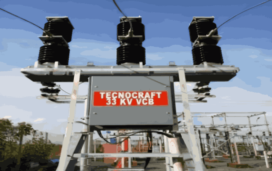 A side view of a plate of figs and berries.
